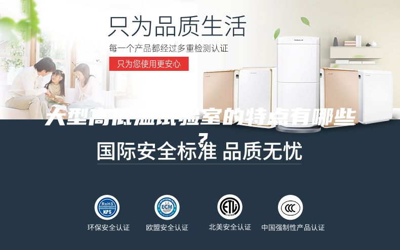大型高低溫試驗(yàn)室的特點(diǎn)有哪些？