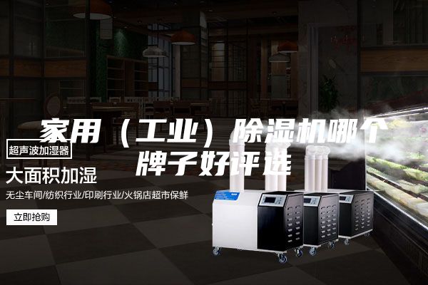 家用(工業)除濕機哪個牌子好評選