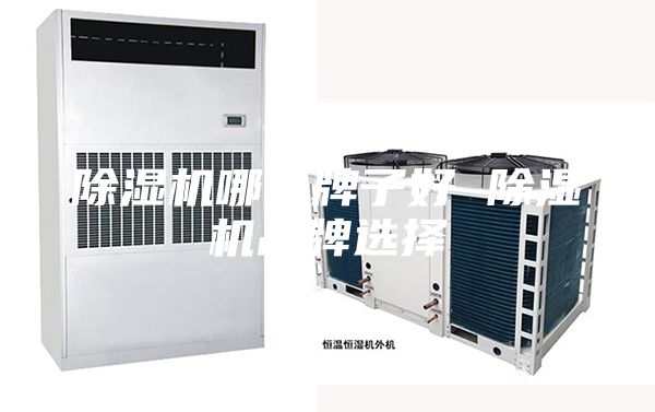 除濕機(jī)哪個(gè)牌子好 除濕機(jī)品牌選擇