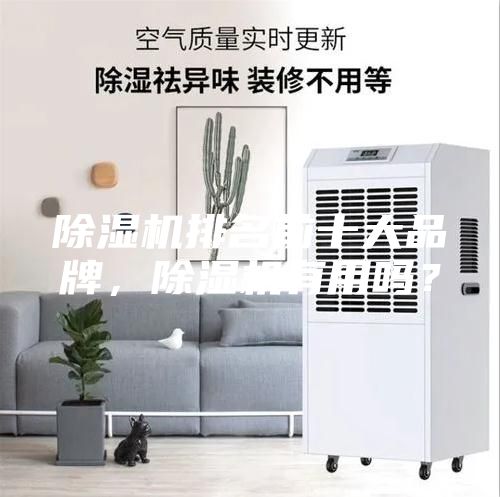 除濕機排名前十大品牌,除濕機有用嗎?