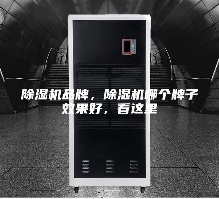 除濕機(jī)品牌，除濕機(jī)哪個(gè)牌子效果好，看這里