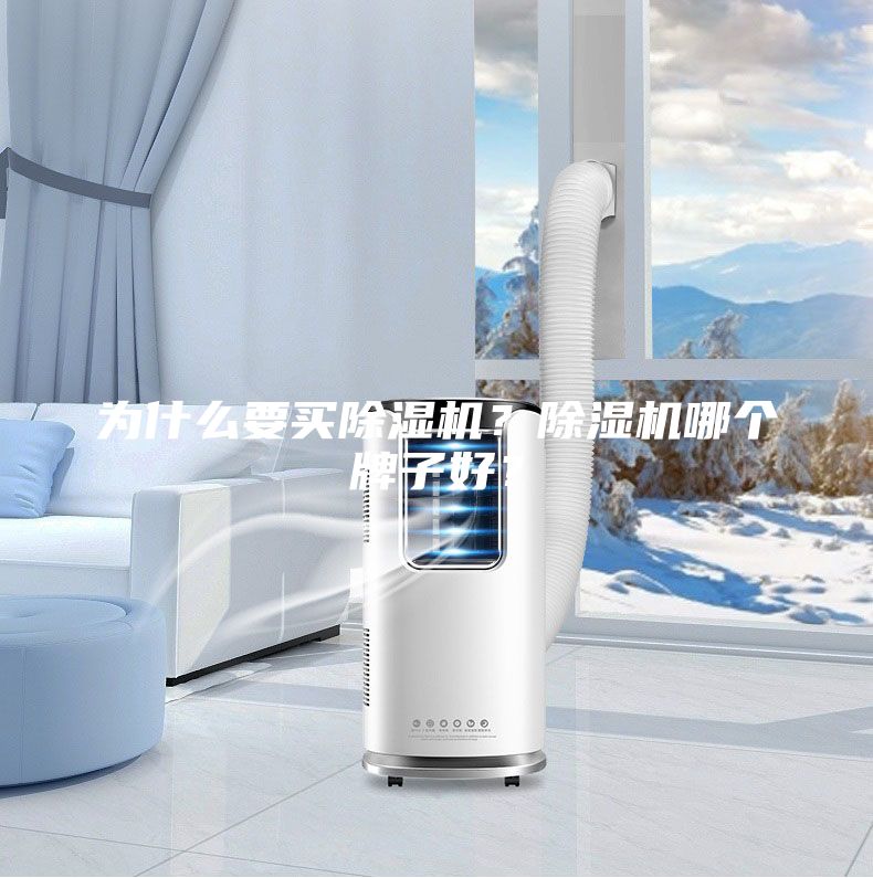 為什么要買除濕機？除濕機哪個牌子好？