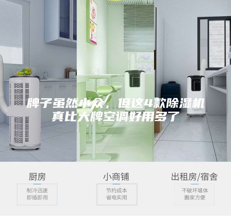 牌子雖然小眾，但這4款除濕機真比大牌空調好用多了