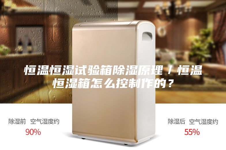 恒溫恒濕試驗箱除濕原理／恒溫恒濕箱怎么控制作的？