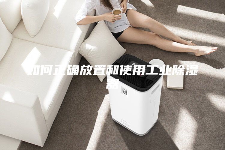 如何正確放置和使用工業除濕器