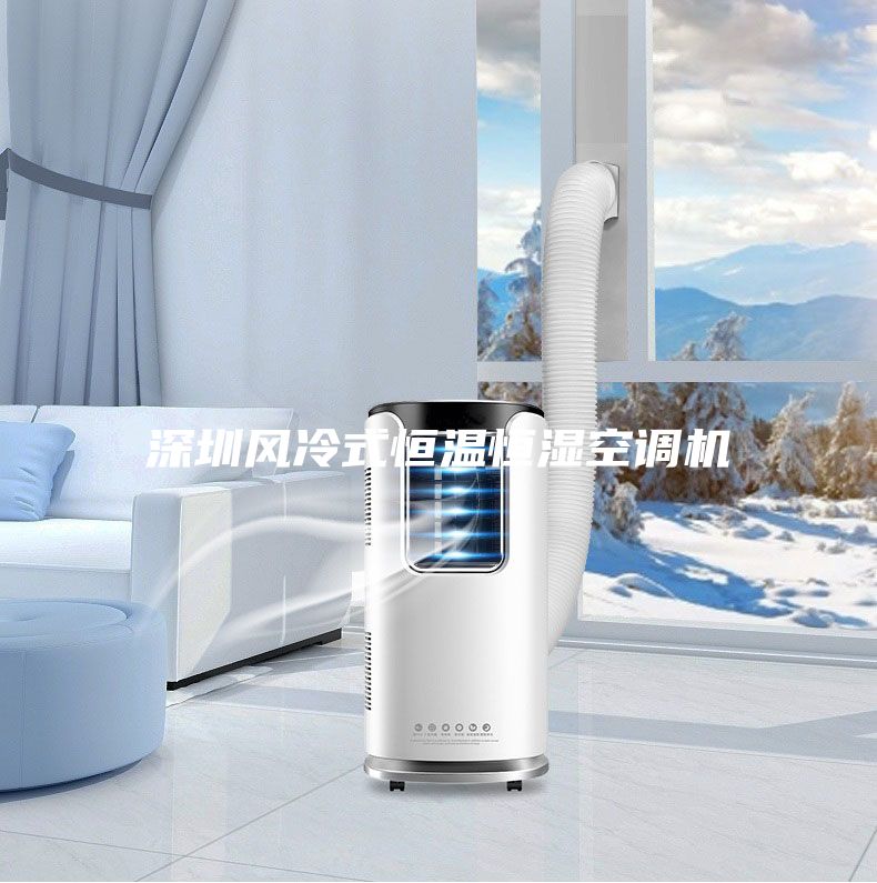 深圳風(fēng)冷式恒溫恒濕空調(diào)機(jī)