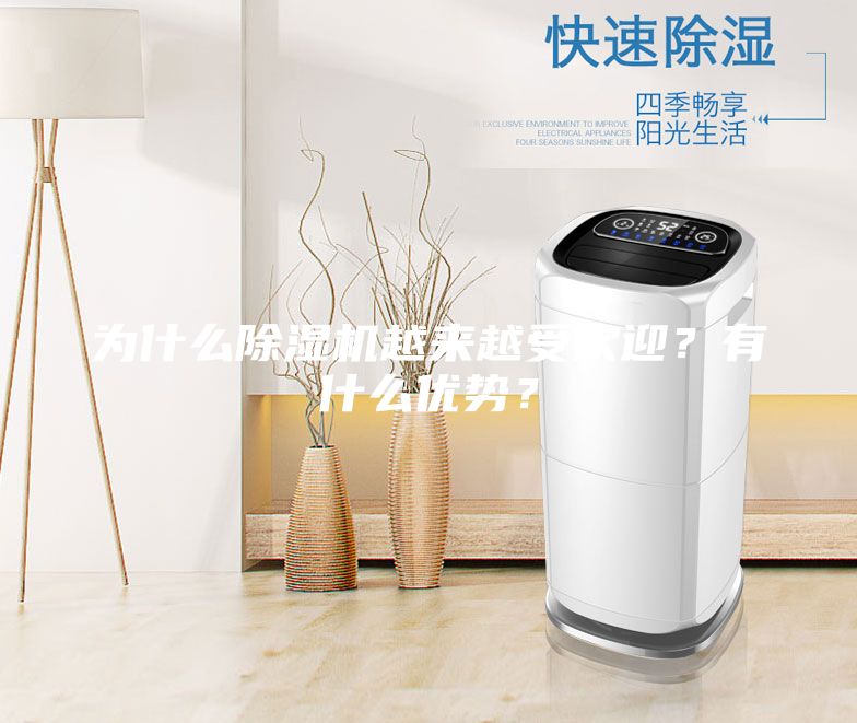 為什么除濕機越來越受歡迎？有什么優勢？