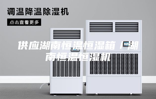 供應(yīng)湖南恒溫恒濕箱/湖南恒溫恒濕機(jī)