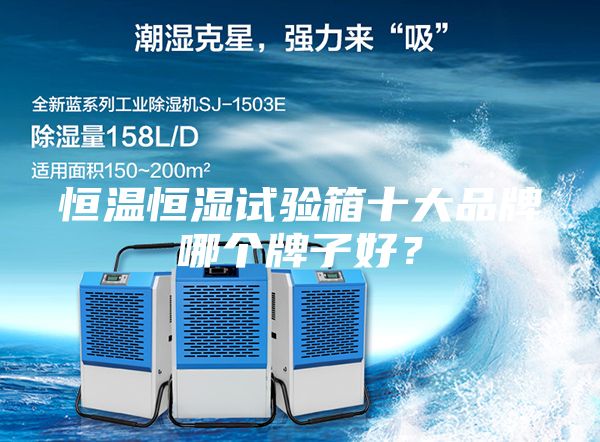 恒溫恒濕試驗箱十大品牌哪個牌子好？