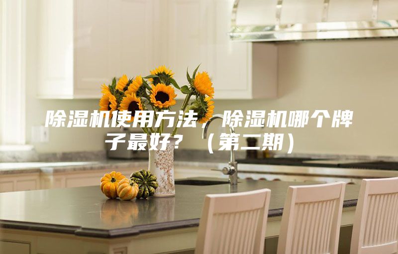 除濕機使用方法，除濕機哪個牌子最好？（第二期）