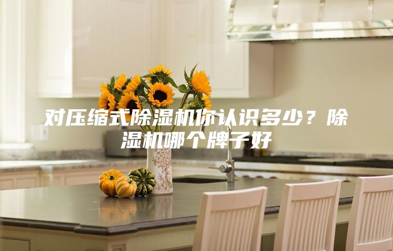 對壓縮式除濕機(jī)你認(rèn)識多少?除濕機(jī)哪個牌子好