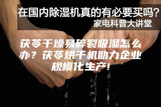 茯苓干燥易碎裂吸濕怎么辦？茯苓烘干機助力企業規?；a!