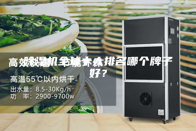 除濕機全球十大排名哪個牌子好?