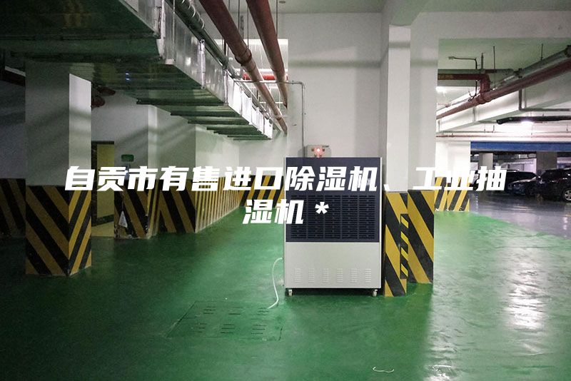 自貢市有售進口除濕機、工業抽濕機＊