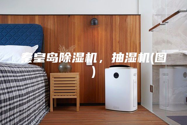 秦皇島除濕機(jī)，抽濕機(jī)(圖)