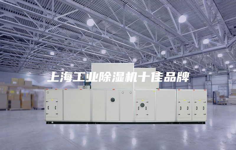 上海工業(yè)除濕機(jī)十佳品牌
