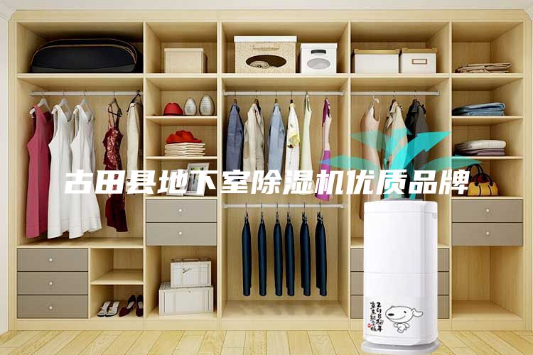 古田縣地下室除濕機優質品牌