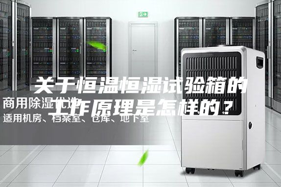 關(guān)于恒溫恒濕試驗(yàn)箱的工作原理是怎樣的？