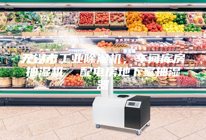 無錫市工業除濕機,車間庫房抽濕機 配電房地下室抽濕器