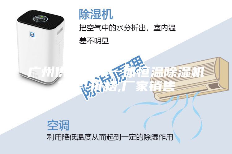 廣州供應三集一體恒溫除濕機熱泵-價格,廠家銷售