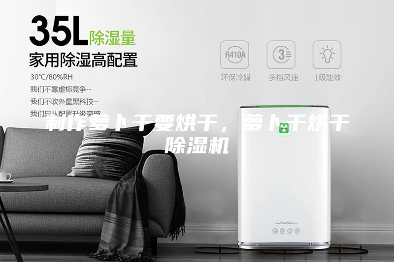 制作蘿卜干要烘干,蘿卜干烘干除濕機(jī)