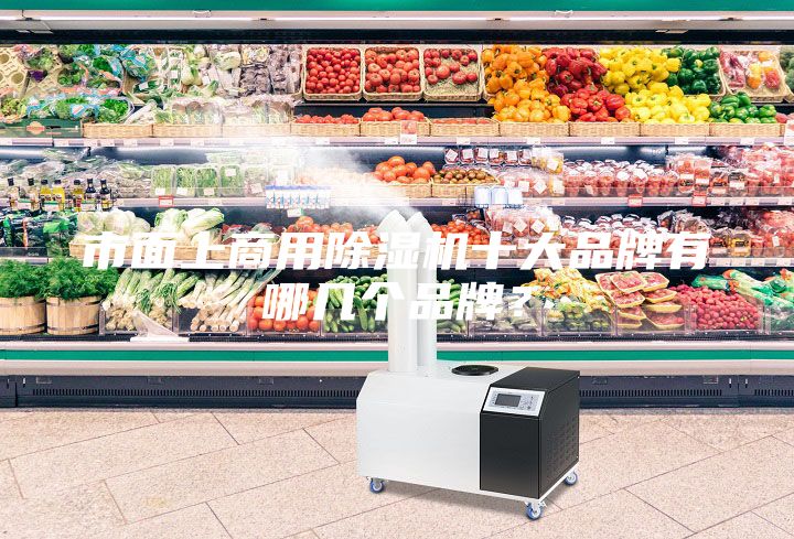 市面上商用除濕機(jī)十大品牌有哪幾個(gè)品牌?