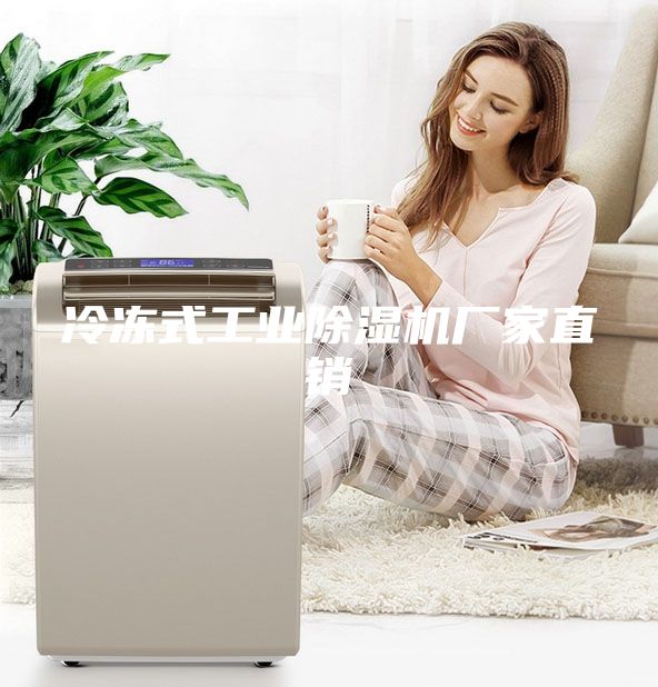 冷凍式工業(yè)除濕機廠家直銷