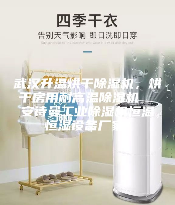 武漢升溫烘干除濕機(jī)，烘干房用耐高溫除濕機(jī)  安詩曼工業(yè)除濕機(jī)恒溫恒濕設(shè)備廠家！