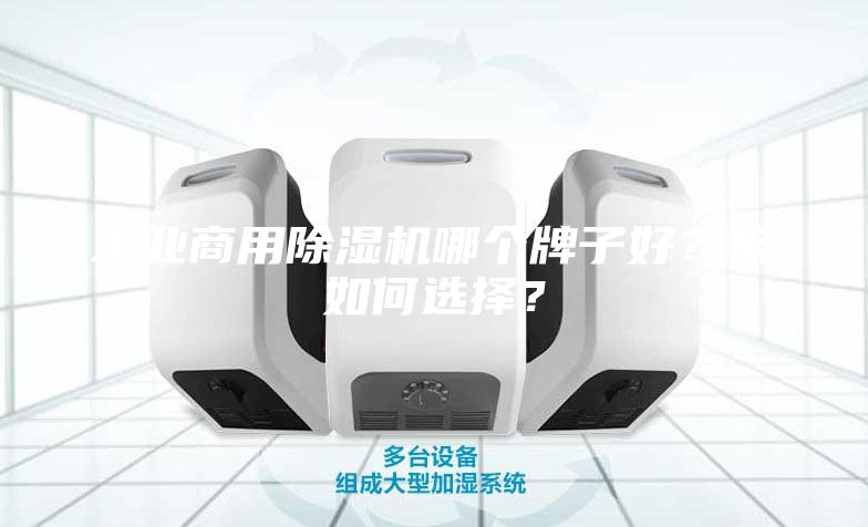 工業(yè)商用除濕機哪個牌子好？該如何選擇？