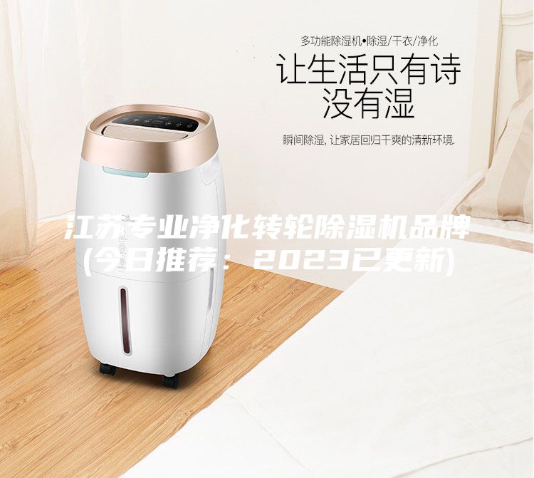 江蘇專業(yè)凈化轉(zhuǎn)輪除濕機品牌(今日推薦：2023已更新)