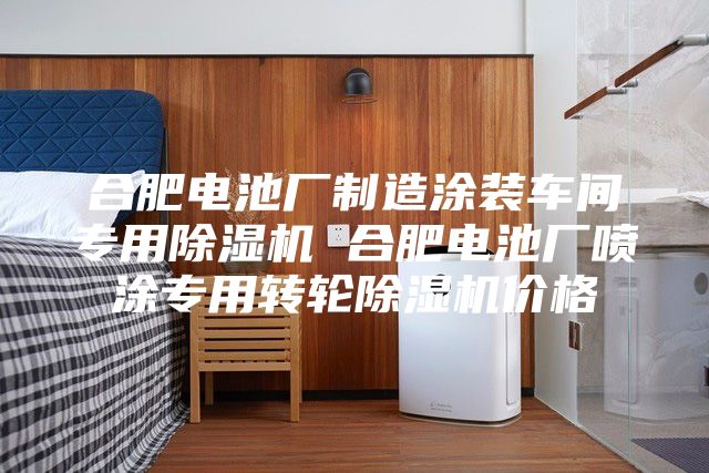 合肥電池廠制造涂裝車間專用除濕機(jī) 合肥電池廠噴涂專用轉(zhuǎn)輪除濕機(jī)價(jià)格