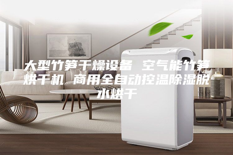 大型竹筍干燥設備 空氣能竹筍烘干機 商用全自動控溫除濕脫水烘干