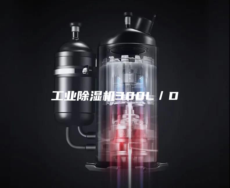 工業(yè)除濕機300L／D