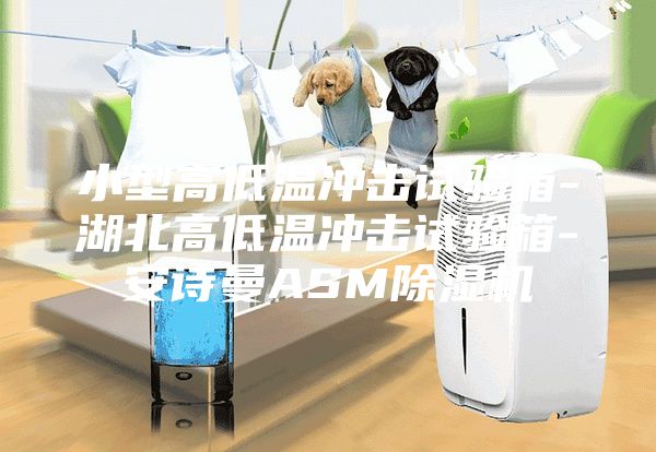 小型高低溫沖擊試驗(yàn)箱-湖北高低溫沖擊試驗(yàn)箱-安詩曼ASM除濕機(jī)