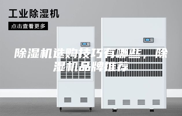 除濕機(jī)選購(gòu)技巧有哪些，除濕機(jī)品牌推薦
