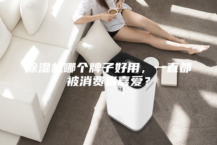 除濕機哪個牌子好用,一直都被消費者喜愛?