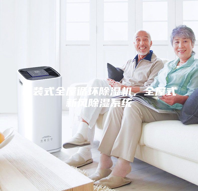 吊裝式全屋循環除濕機，全屋式新風除濕系統