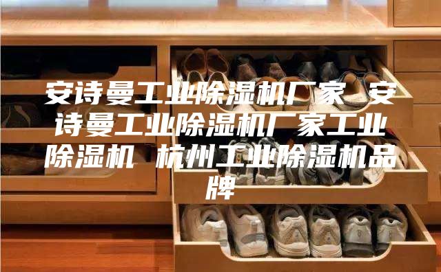 安詩曼工業(yè)除濕機廠家 安詩曼工業(yè)除濕機廠家工業(yè)除濕機 杭州工業(yè)除濕機品牌