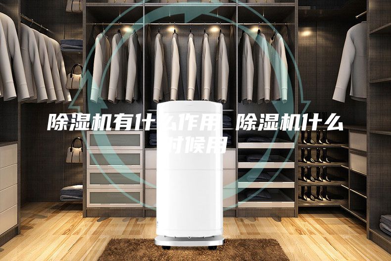 除濕機(jī)有什么作用 除濕機(jī)什么時候用