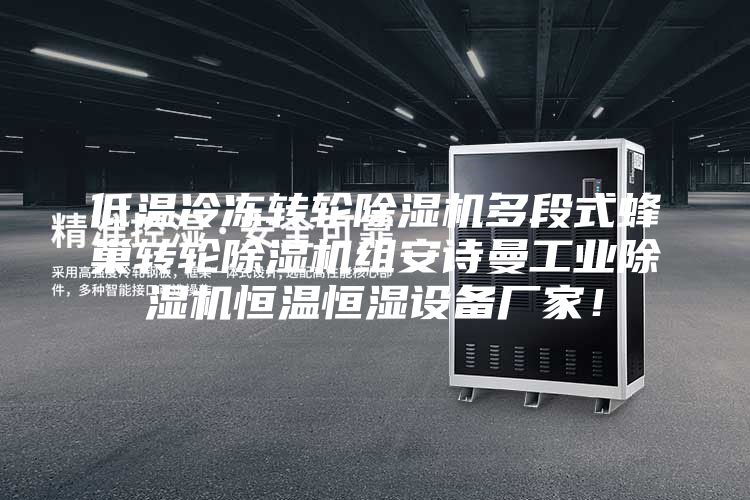 低溫冷凍轉(zhuǎn)輪除濕機(jī)多段式蜂巢轉(zhuǎn)輪除濕機(jī)組安詩曼工業(yè)除濕機(jī)恒溫恒濕設(shè)備廠家!