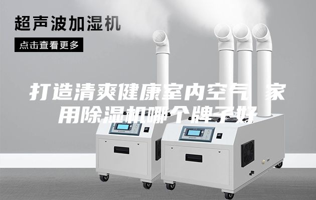 打造清爽健康室內空氣 家用除濕機哪個牌子好