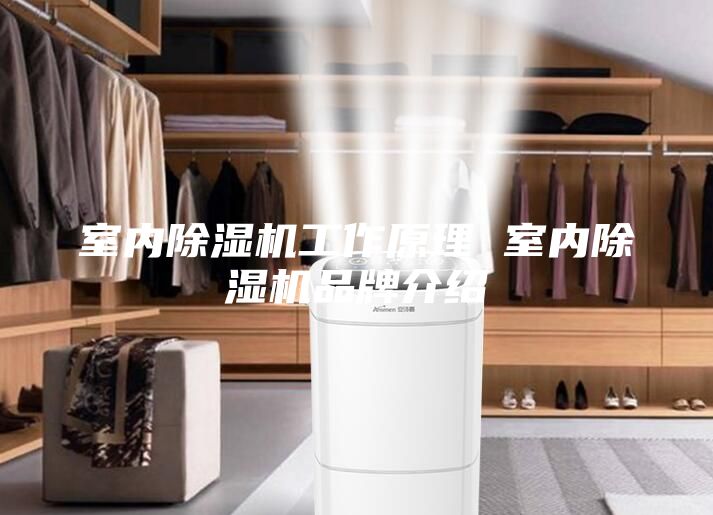 室內除濕機工作原理 室內除濕機品牌介紹