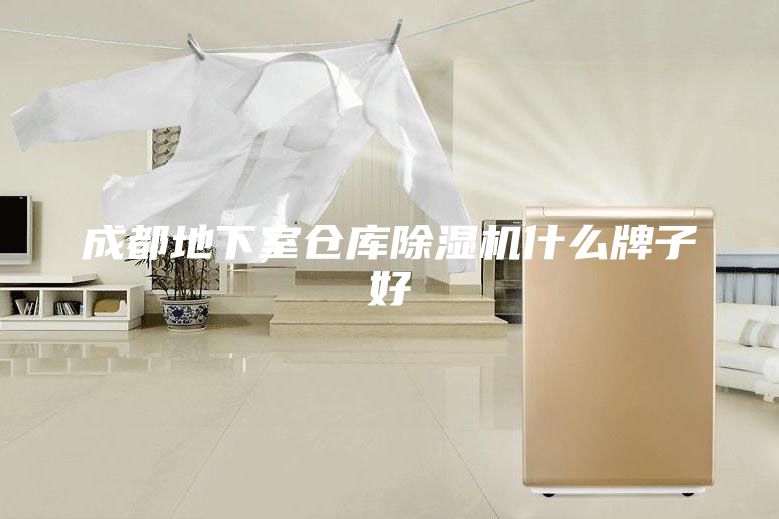 成都地下室倉庫除濕機什么牌子好