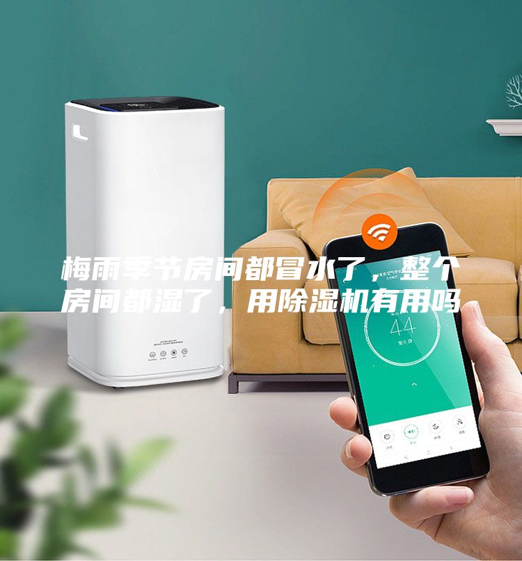 梅雨季節(jié)房間都冒水了，整個(gè)房間都濕了，用除濕機(jī)有用嗎