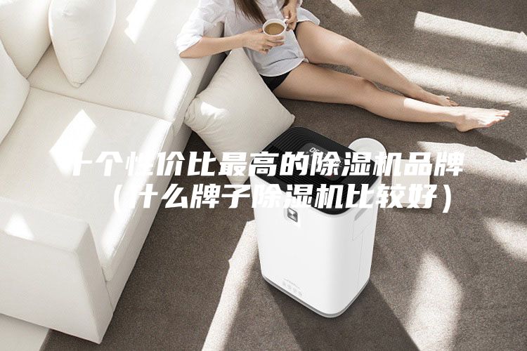 十個(gè)性價(jià)比最高的除濕機(jī)品牌（什么牌子除濕機(jī)比較好）