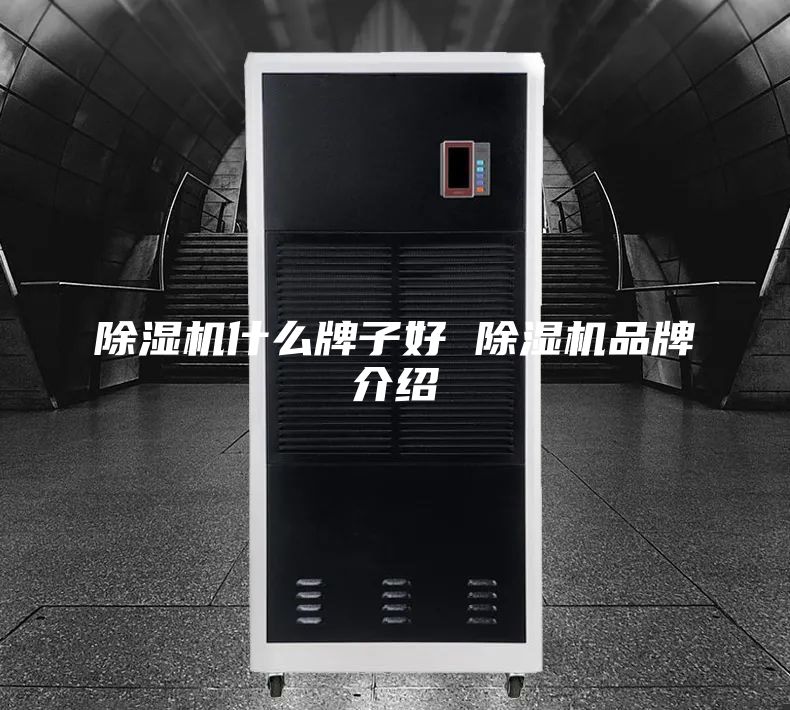 除濕機(jī)什么牌子好 除濕機(jī)品牌介紹