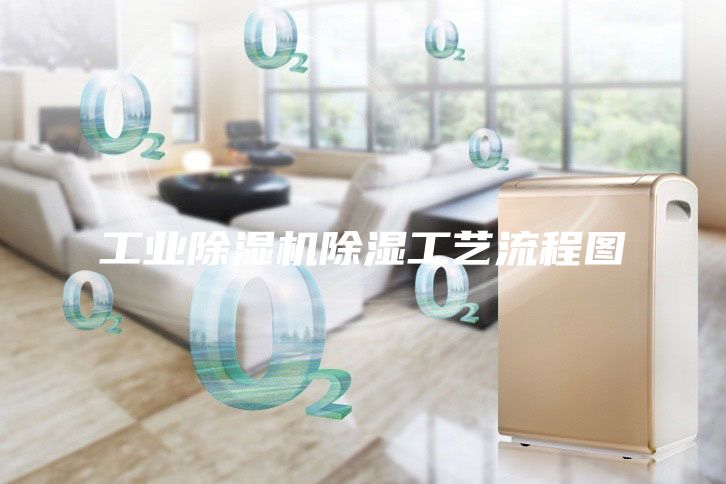 工業(yè)除濕機(jī)除濕工藝流程圖