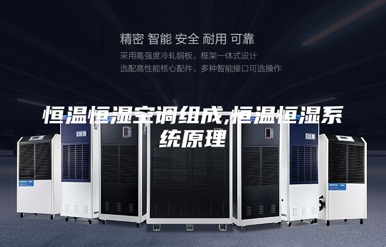 恒溫恒濕空調組成,恒溫恒濕系統原理