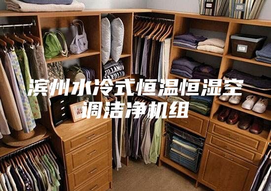 濱州水冷式恒溫恒濕空調(diào)潔凈機(jī)組