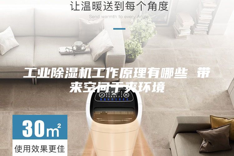 工業(yè)除濕機工作原理有哪些 帶來空間干爽環(huán)境